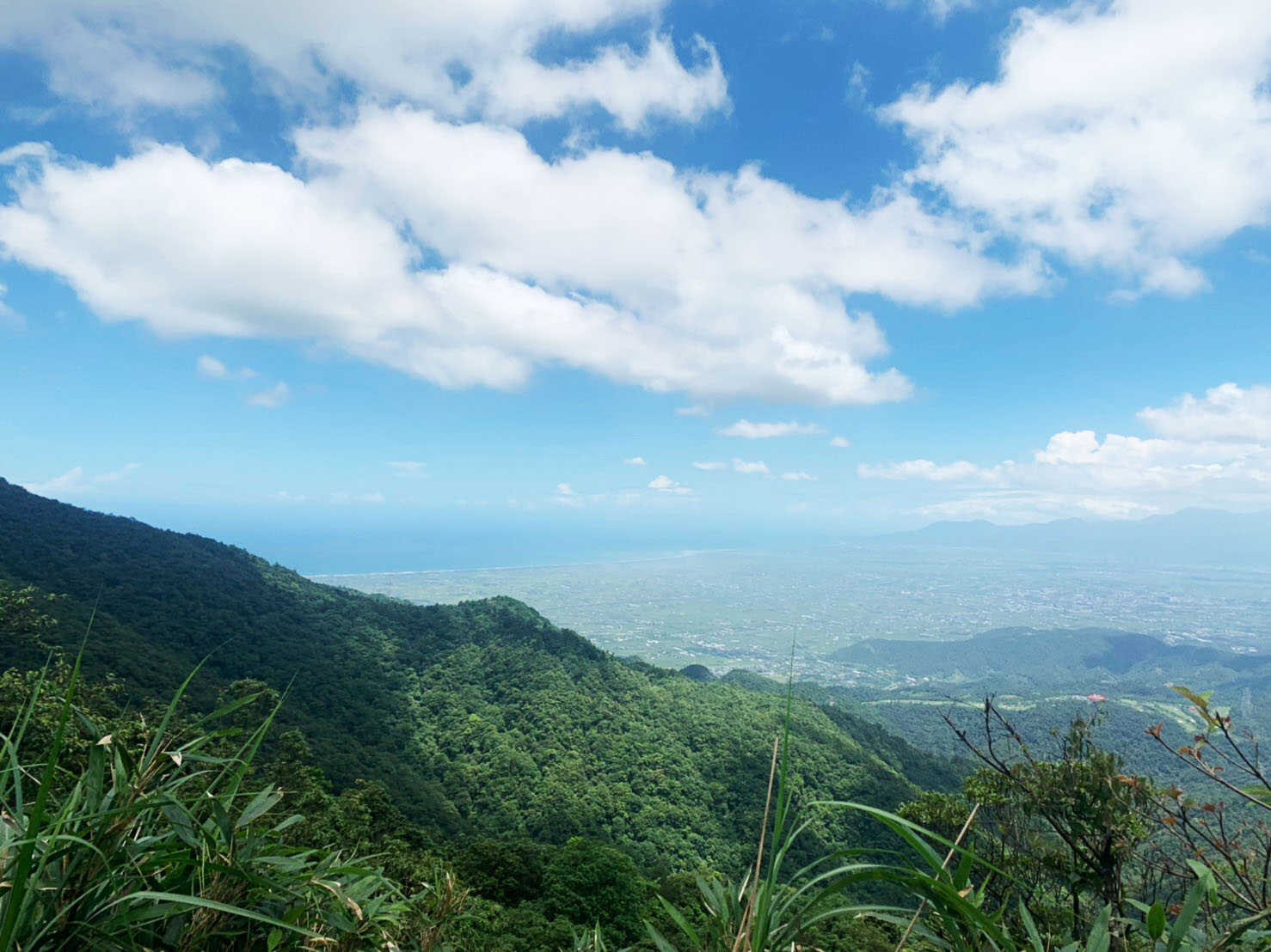 抹茶山