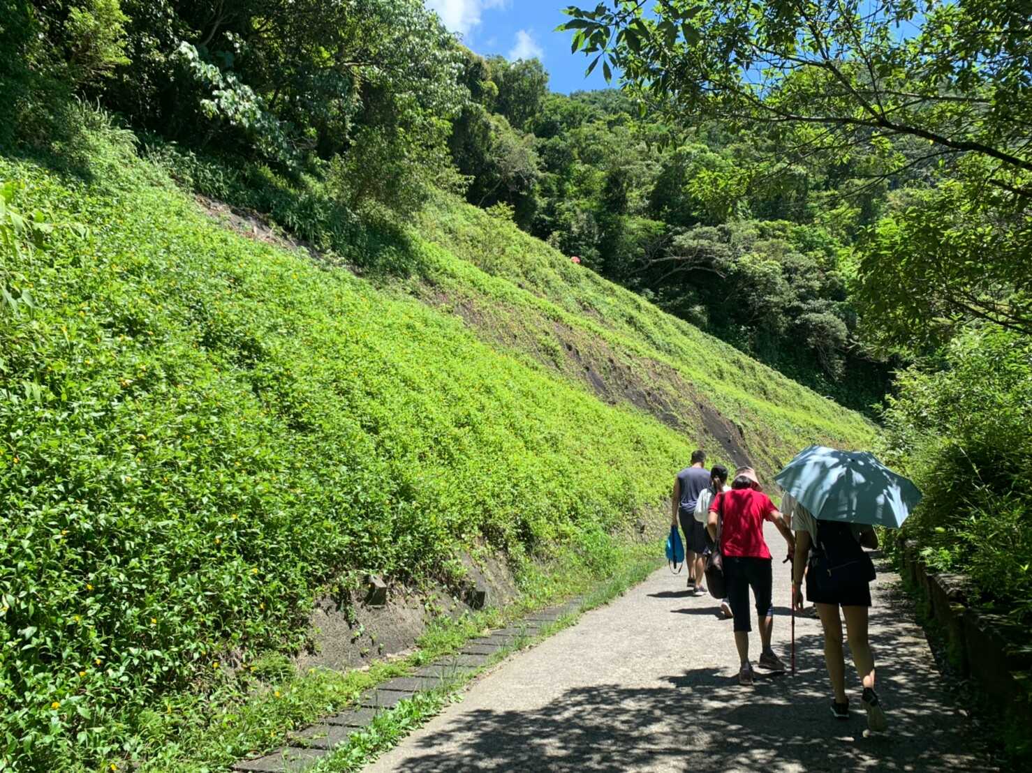 抹茶山