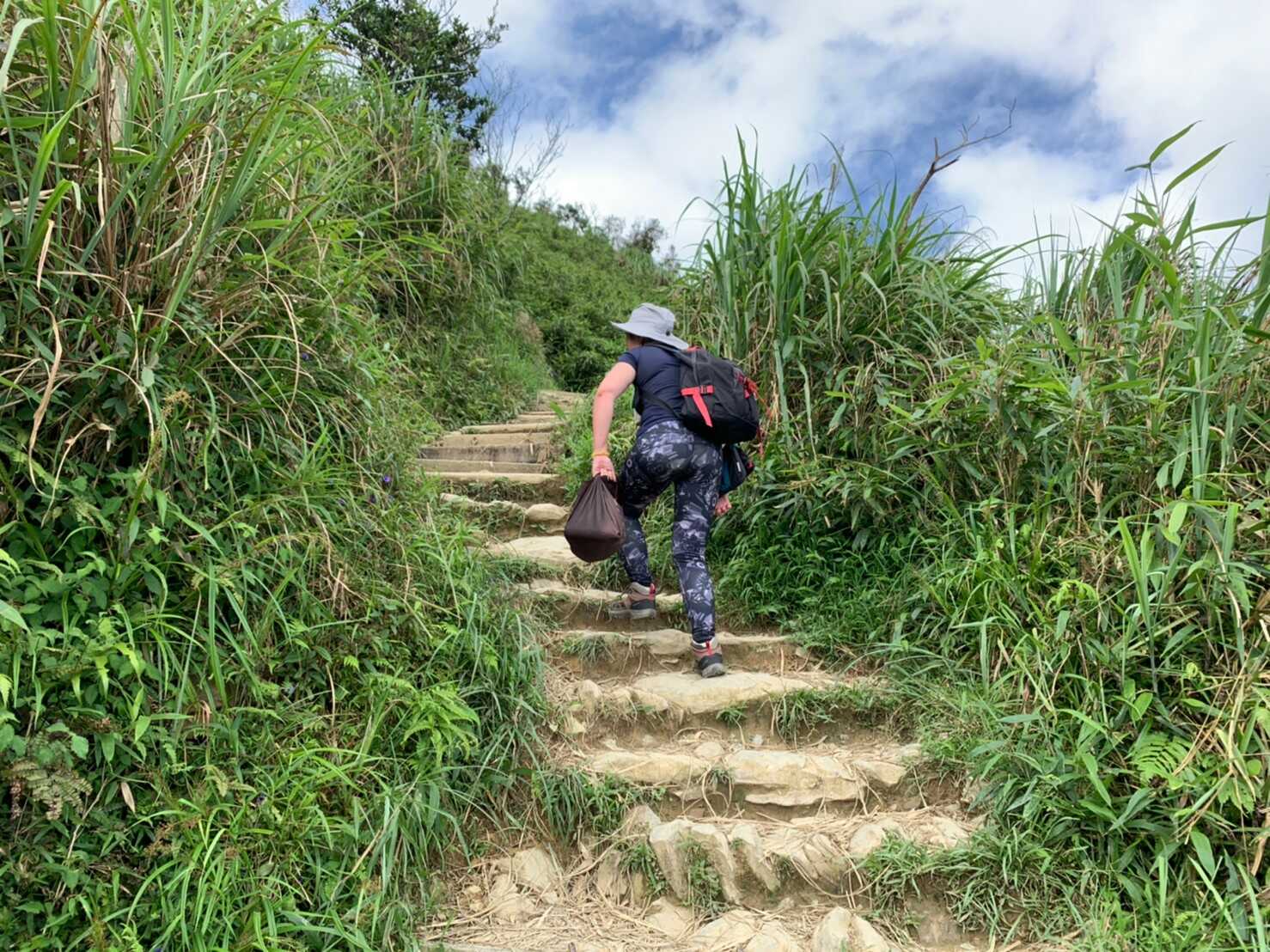抹茶山