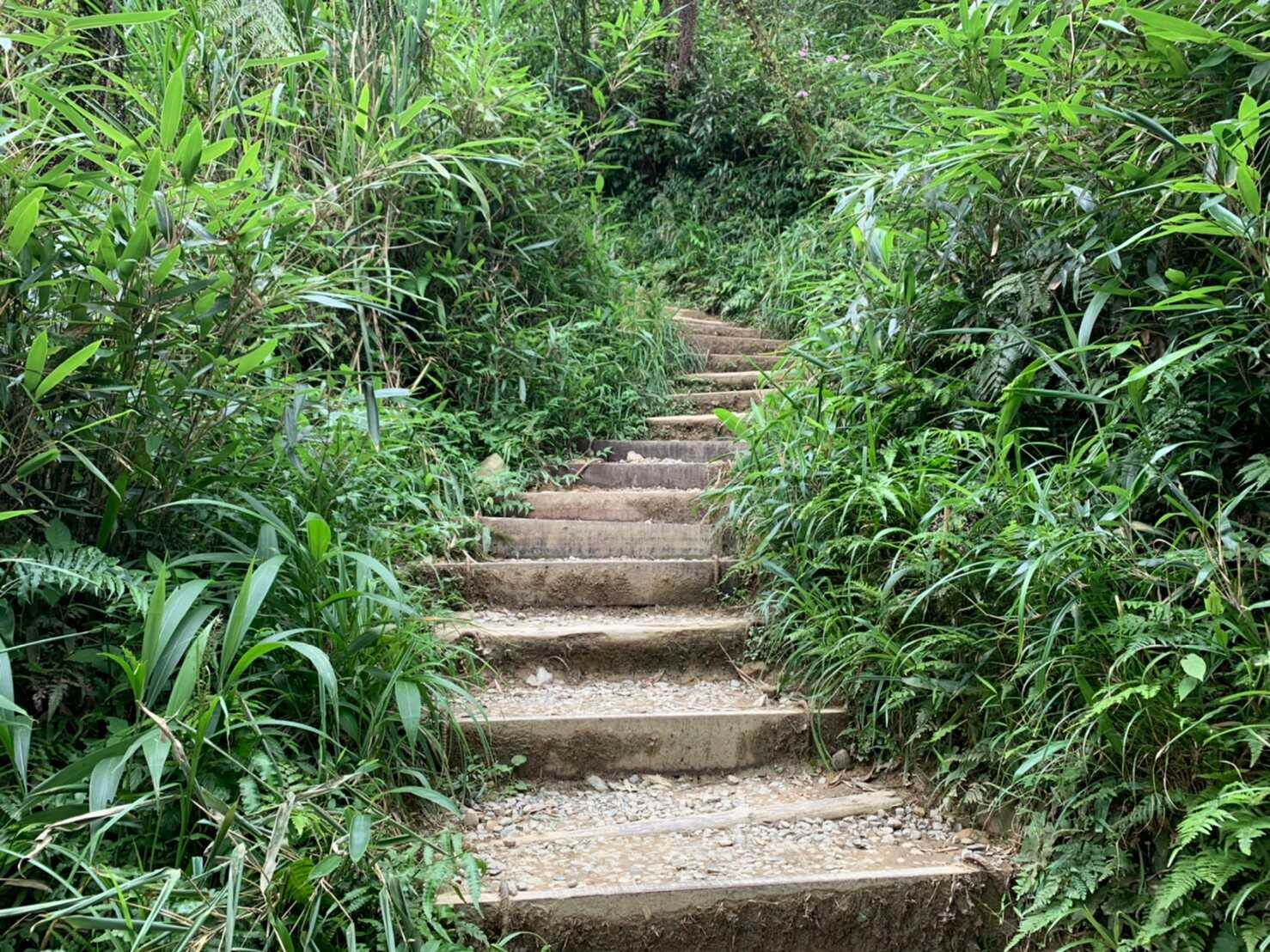 抹茶山