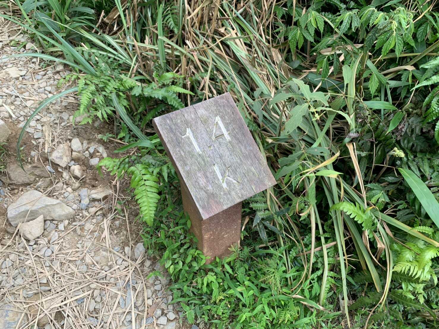 抹茶山