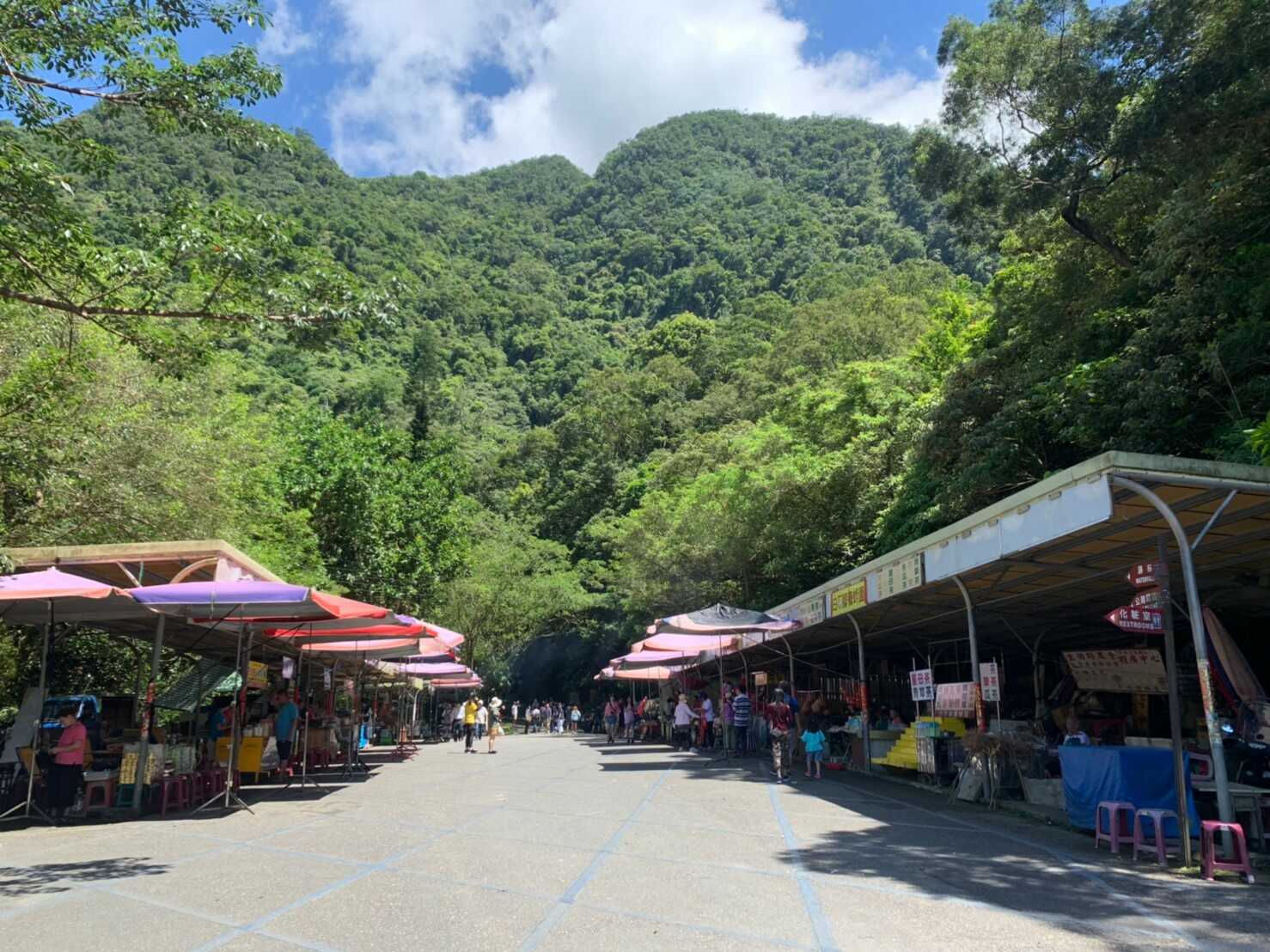 抹茶山