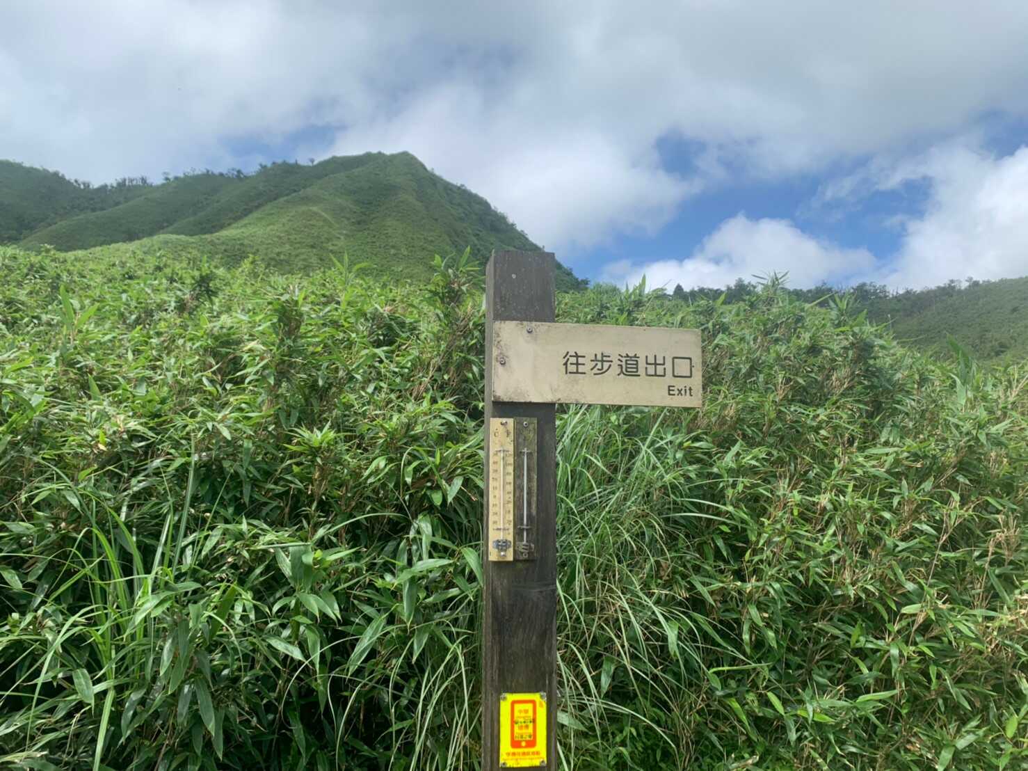 抹茶山