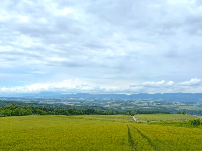 北海道景點