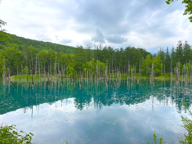 北海道景點