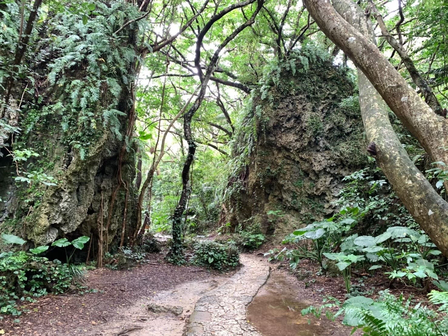 沖繩景點-齋場御嶽